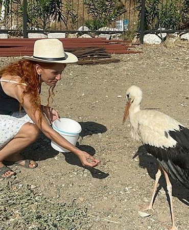 Sitenin bahçesine konan leyleğe sahip çıkıp, balık ve etle besliyorlar