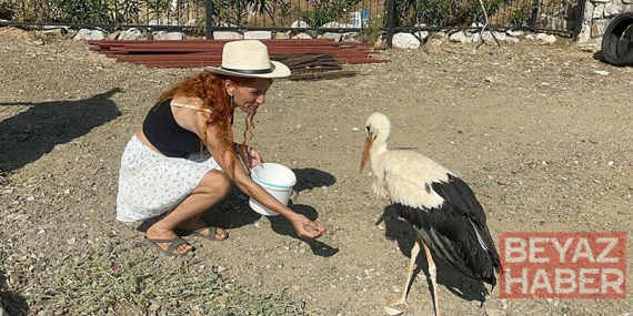 Sitenin bahçesine konan leyleğe sahip çıkıp, balık ve etle besliyorlar