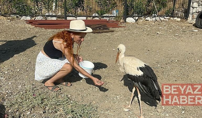 Sitenin bahçesine konan leyleğe sahip çıkıp, balık ve etle besliyorlar