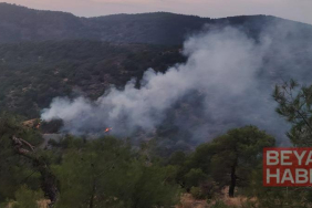 Gaziantep’te orman yangını; 4 dönüm alan zarar gördü