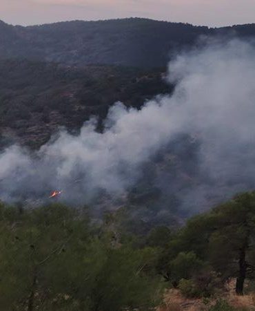 Gaziantep’te orman yangını; 4 dönüm alan zarar gördü