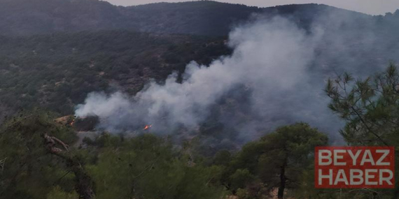 Gaziantep’te orman yangını; 4 dönüm alan zarar gördü