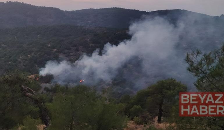 Gaziantep’te orman yangını; 4 dönüm alan zarar gördü