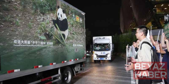 İki dev panda Çin’den ABD’ye yola çıktı