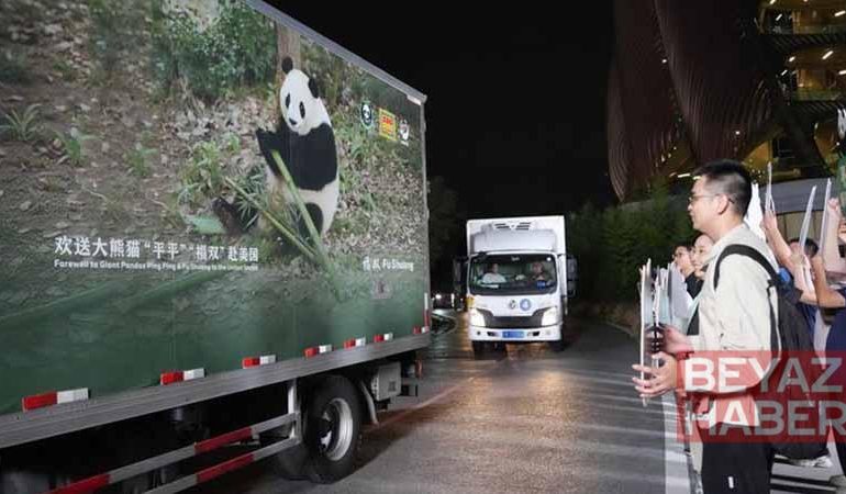 İki dev panda Çin’den ABD’ye yola çıktı