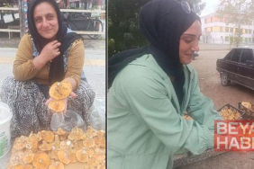 Dağlardan saatlerce yürüyerek toplanan mantarlar, pazarda kilosu 250 TL’ye satılıyor