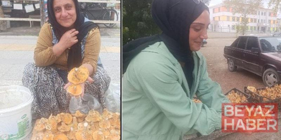 Dağlardan saatlerce yürüyerek toplanan mantarlar, pazarda kilosu 250 TL’ye satılıyor