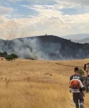 Tunceli’de örtü yangını