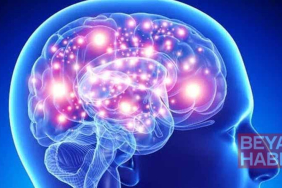 Araştırma: Yüksek radyasyona maruz kalmak beyinde Alzheimer sürecini tetikleyebiliyor