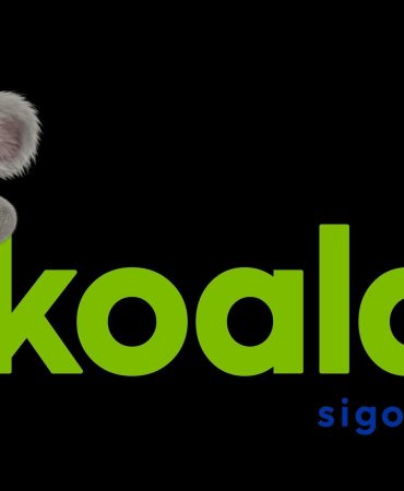 Koalay Sigorta’nın yapay zeka asistanı ilk poliçesini kesti