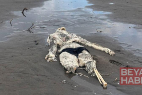 Sahilde insan iskeleti bulundu