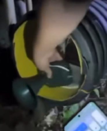 Geceleri duyulmaya başladı: Bu sesi duyarsanız hemen polis ve jandarmayı arayın