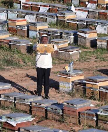 Tarım ve Orman Bakanı Yumaklı: Bal üretiminde dünyada ikinci sıradayız