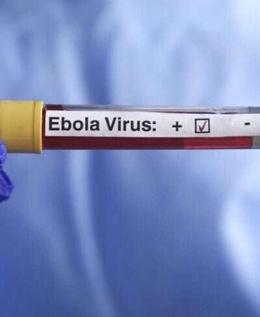 DSÖ, KDC'de Ebola salgınının büyümeye ve can almaya devam ettiğini bildirdi