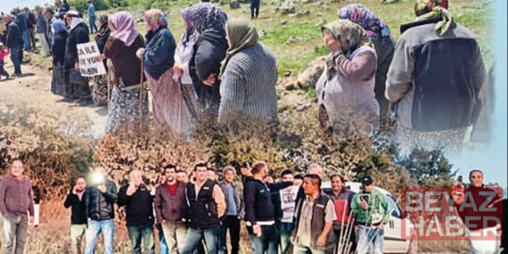 Kanunsuz talana karşı köylü siper oldu