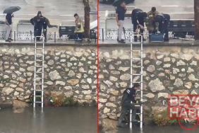 Yağmurda dereye sürüklenen yavru kediyi kurtarmak için zamanla yarıştılar
