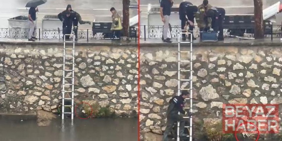 Yağmurda dereye sürüklenen yavru kediyi kurtarmak için zamanla yarıştılar
