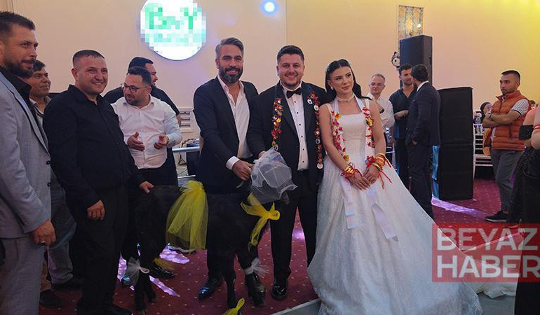 Adana