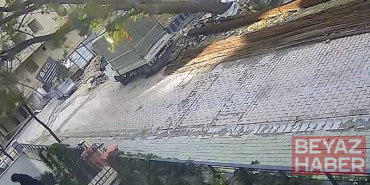 Avcılar’da devrilen ağacın altında kalmaktan son anda kurtuldu