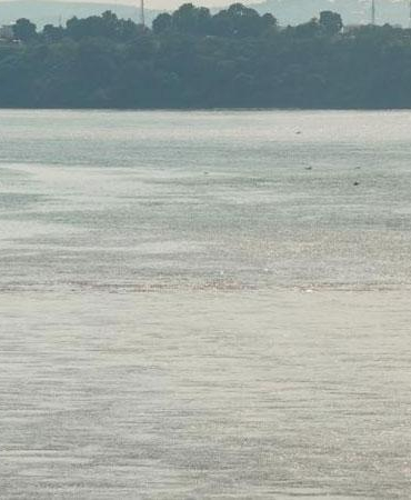 Kongo Nehri