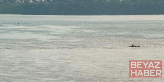 Kongo Nehri