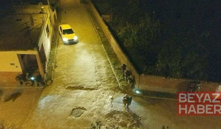 Aydın merkezli 3 ilde uyuşturucu operasyonu: 111 gözaltında