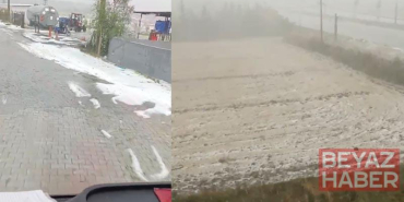 Kuvvetli yağış ve dolu nedeniyle tarım arazileri zarar gördü