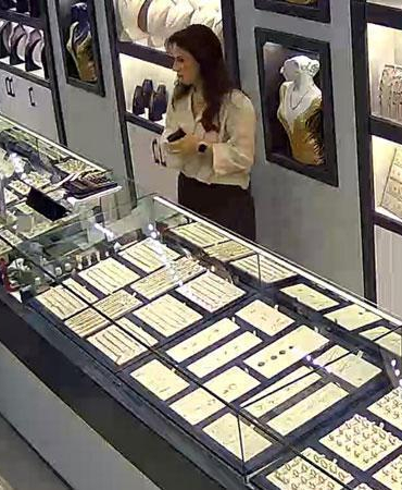Oyuncak tabancayla kuyumcuyu soymaya kalktı, alarma basılınca kaçtı