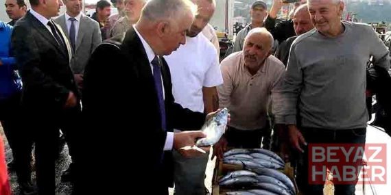 Şile’de palamut bolluğu; kasası 600 liradan satıldı