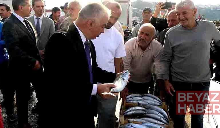 Şile’de palamut bolluğu; kasası 600 liradan satıldı