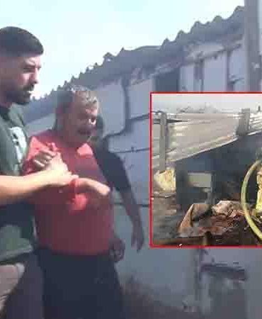 Silivri’de ahırda çıkan yangında hayvanları öldü; besici ve eşi hastaneye kaldırıldı