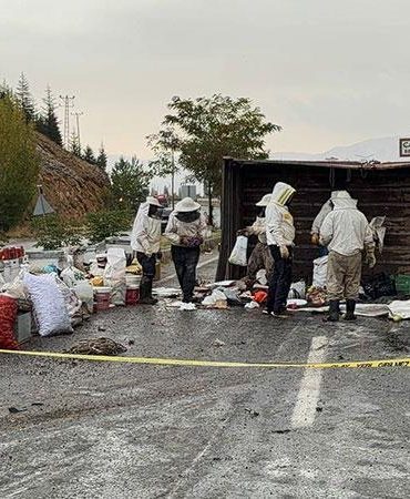 Bal ve arı kovanı yüklü kamyonet devrildi; 3 yaralı