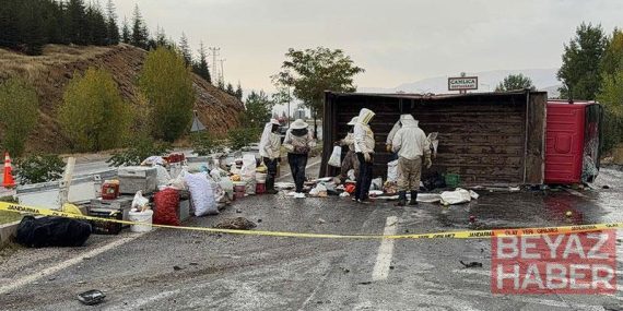 Bal ve arı kovanı yüklü kamyonet devrildi; 3 yaralı