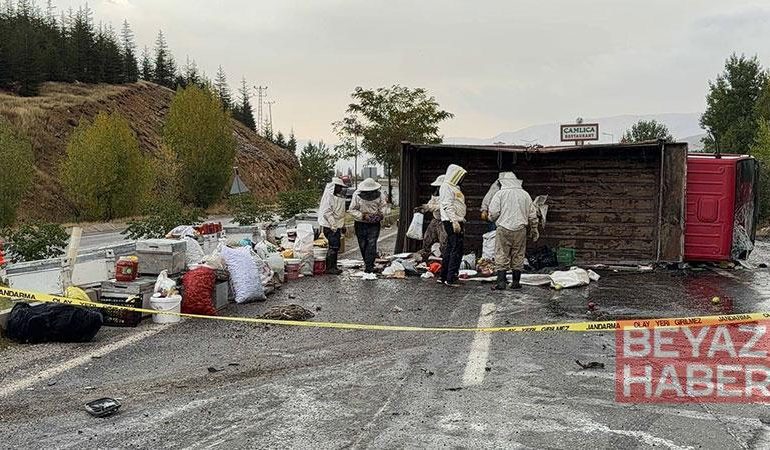 Bal ve arı kovanı yüklü kamyonet devrildi; 3 yaralı