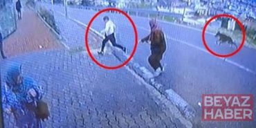 Köpekten kaçarken yüksekten atlayan çocuğun bacağı kırıldı