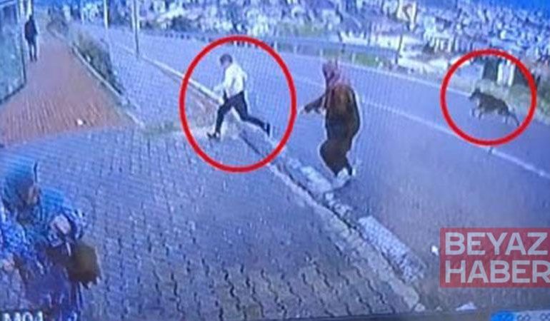 Köpekten kaçarken yüksekten atlayan çocuğun bacağı kırıldı