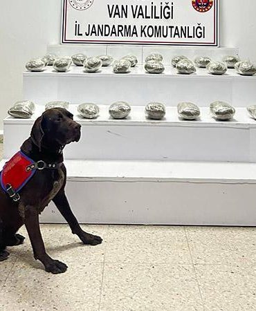 Van’da uyuşturucu operasyonu: 3 gözaltı