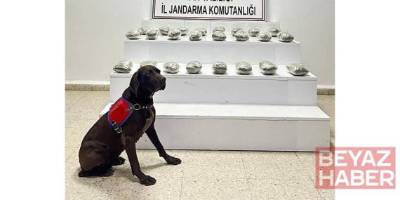 Van’da uyuşturucu operasyonu: 3 gözaltı