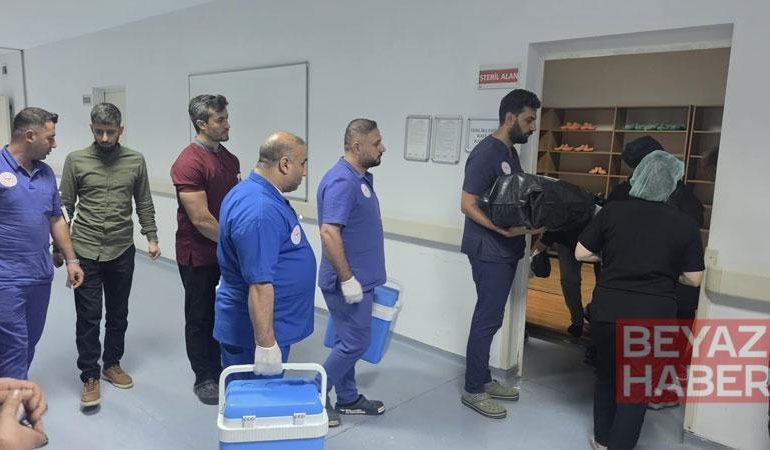 Beyin ölümü gerçekleşen bebeğin organları 3 hastaya umut oldu