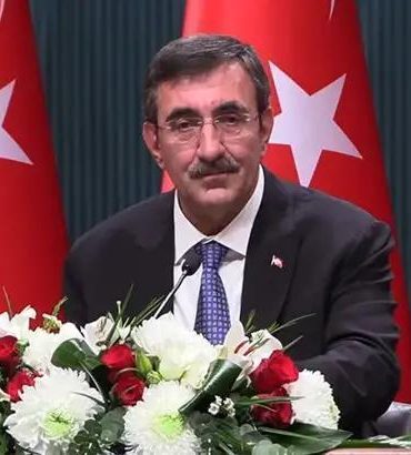 Cumhurbaşkanı Yardımcısı Yılmaz: Olağan tasfiyeler hızla yapılmaktadır