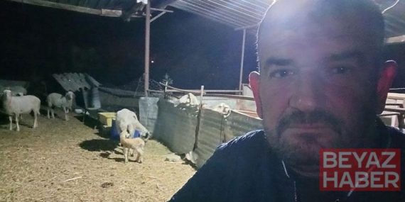 Koyunlarını otlatırken ölü bulundu