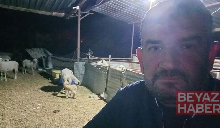 Koyunlarını otlatırken ölü bulundu