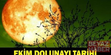 EKİM DOLUNAYI TARİHİ 2026: Avcı Dolunayı Ne Zaman, Saat Kaçta, Hangi Gün? İşte Ekim Dolunayı Tarihi