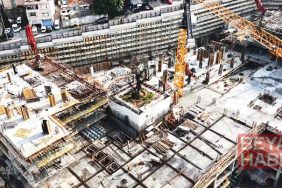 Yükselen yapıların ortasında tek başına: Tarihi tersanedeki asırlık ağaç havadan görüntülendi