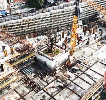 Yükselen yapıların ortasında tek başına: Tarihi tersanedeki asırlık ağaç havadan görüntülendi
