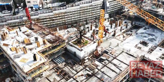 Yükselen yapıların ortasında tek başına: Tarihi tersanedeki asırlık ağaç havadan görüntülendi