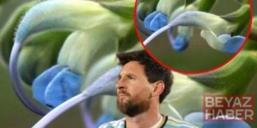 Messi'nin ismi bitkiye verildi!