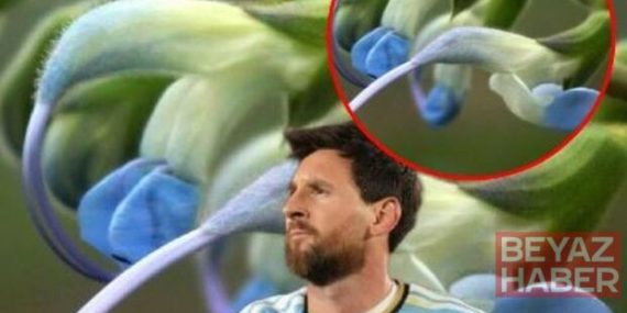 Messi'nin ismi bitkiye verildi!
