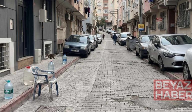 Evinin önüne duba koyanlar yandı: Artık park yeri ayırma devri bitti