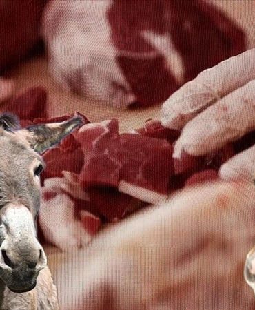 Vatandaşa at ve eşek eti yedirdiler! İşte listede başı çeken 3 ilimiz